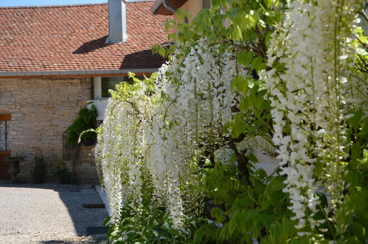 Hotel La Ferme Aux Glycines Aillevans Zewnętrze zdjęcie